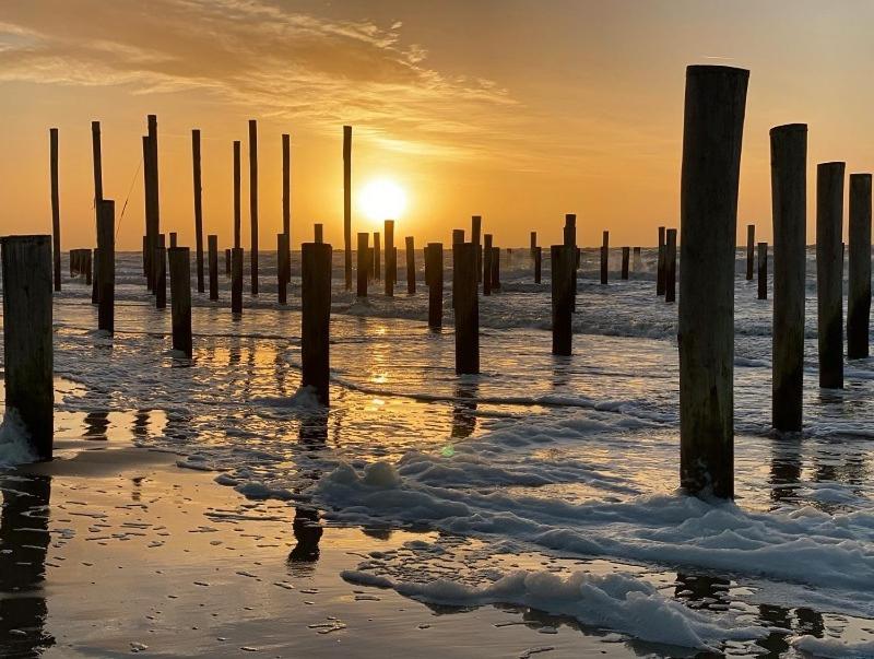 De Kameleon Petten Exterior foto